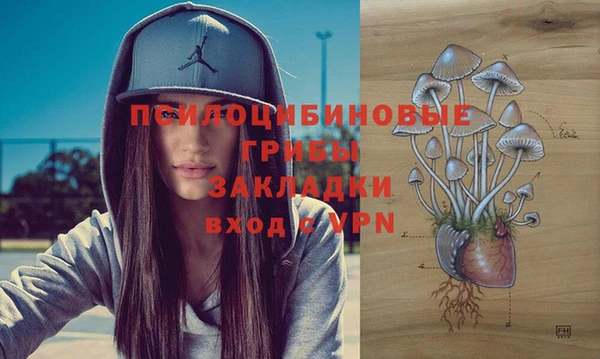 экстази Горняк