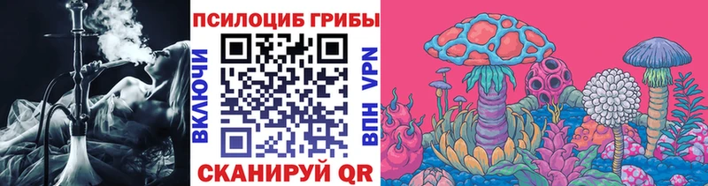 Купить  Конаково  Псилоцибиновые грибы мухоморы 